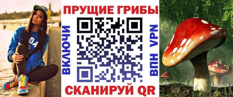 Псилоцибиновые грибы Cubensis дарнет шоп Володарск